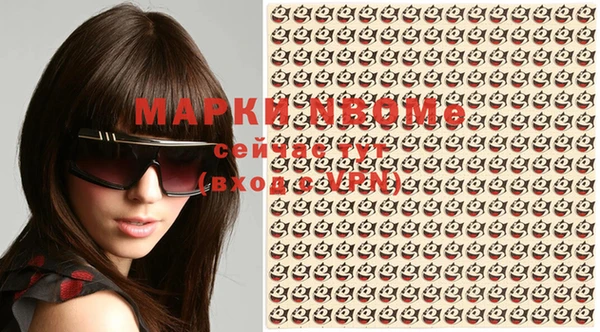 индика Нягань