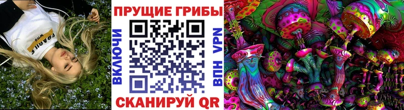 где можно купить наркотик  Белово  KRAKEN как зайти  Галлюциногенные грибы Psilocybe 